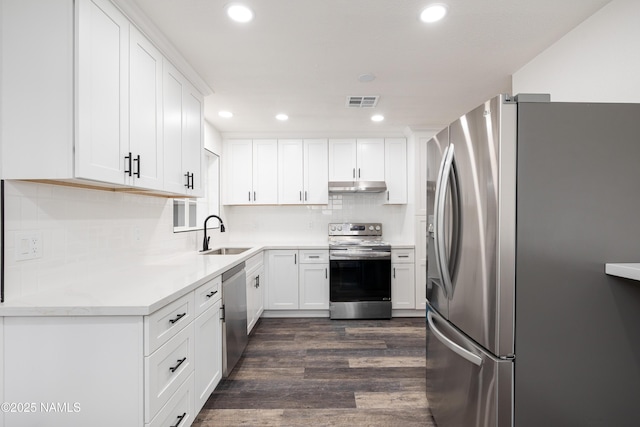 2814 N Patterson Blvd, Flagstaff, AZ 86004 - kitchen with appliances with stainless steel finishes, a sink, under cabinet range hood, dark wood-style flooring, and recessed lighting