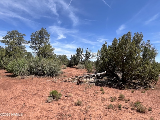 6163 S Rim Ranch Rd, Williams, AZ 86046