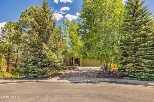 4586 S Bedrock Trl, Flagstaff, AZ 86005 - photo 1