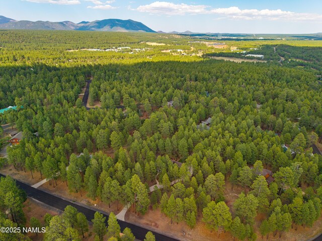 3948 Westwood Cir, Flagstaff, AZ 86005 - photo 52