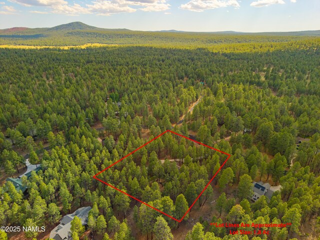3948 Westwood Cir, Flagstaff, AZ 86005 - photo 57