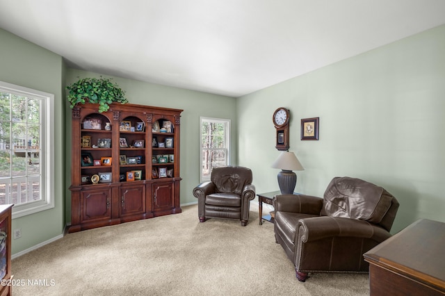3948 Westwood Cir, Flagstaff, AZ 86005 - photo 12