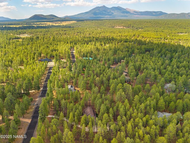 3948 Westwood Cir, Flagstaff, AZ 86005 - photo 54
