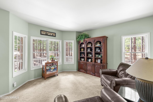 3948 Westwood Cir, Flagstaff, AZ 86005 - photo 11