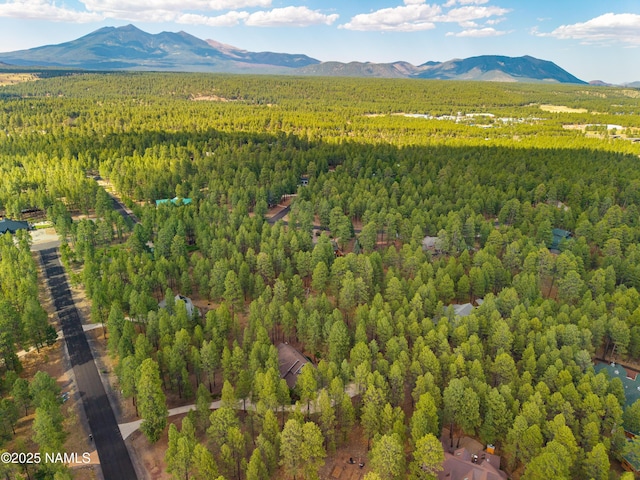 3948 Westwood Cir, Flagstaff, AZ 86005 - photo 53