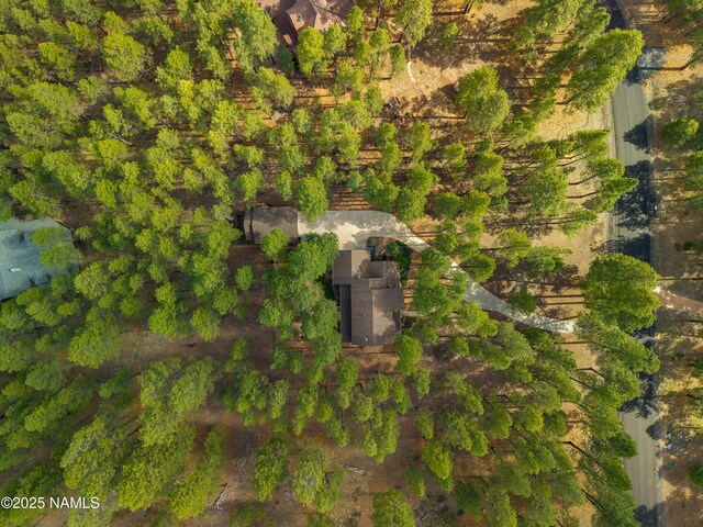 3948 Westwood Cir, Flagstaff, AZ 86005 - photo 59