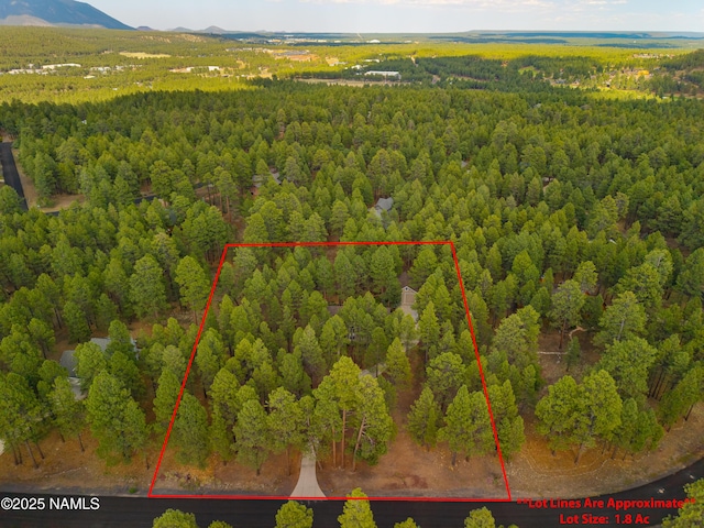 3948 Westwood Cir, Flagstaff, AZ 86005 - photo 9