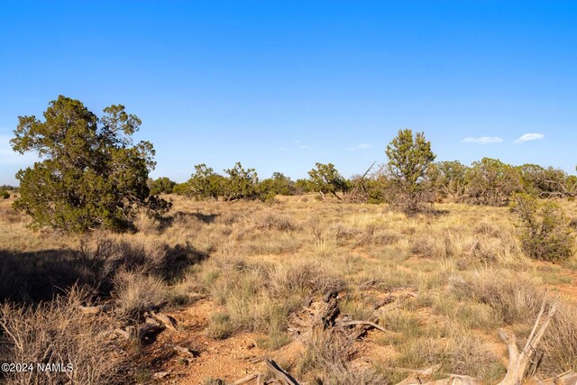 515 N Wyandotte Rd, Williams, AZ 86046 - photo 8