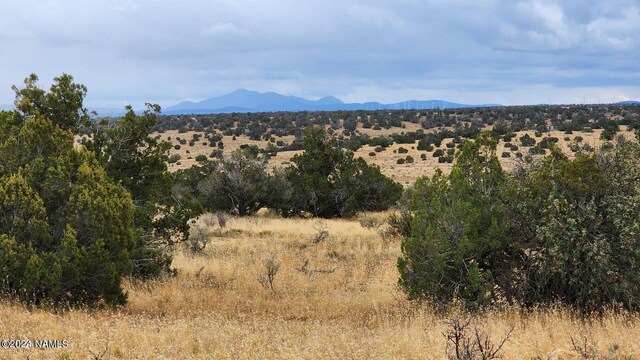 5184 S Starlit Trl, Williams, AZ 86046 - photo 25