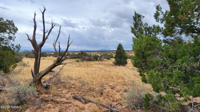 5184 S Starlit Trl, Williams, AZ 86046 - photo 5