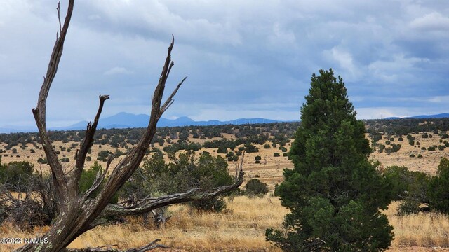 5184 S Starlit Trl, Williams, AZ 86046 - photo 26