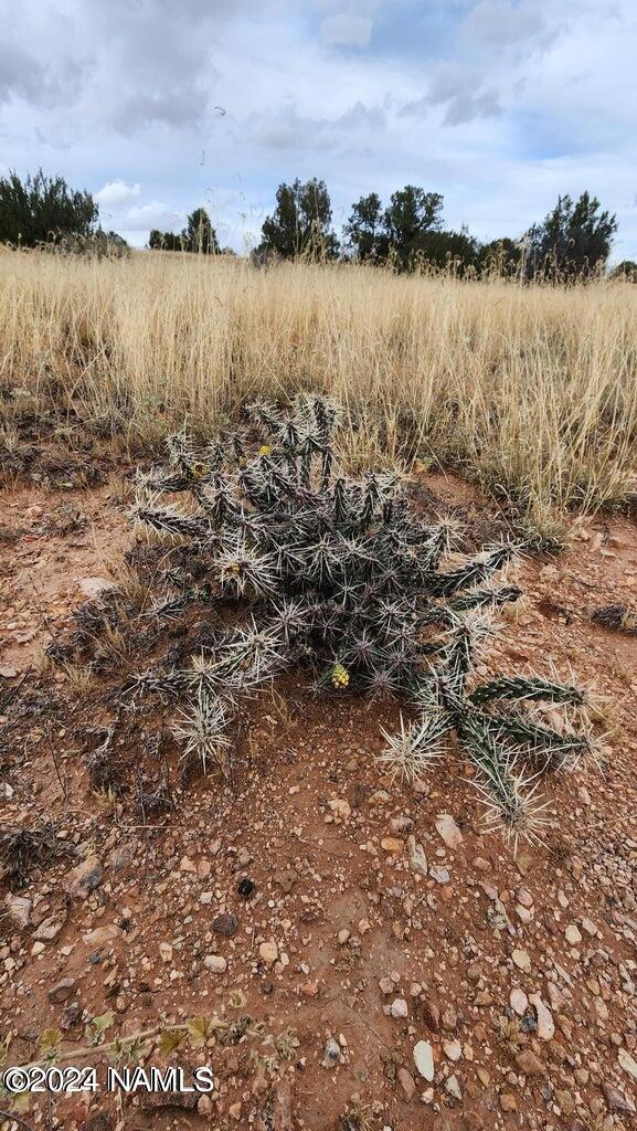 5184 S Starlit Trl, Williams, AZ 86046 - photo 14