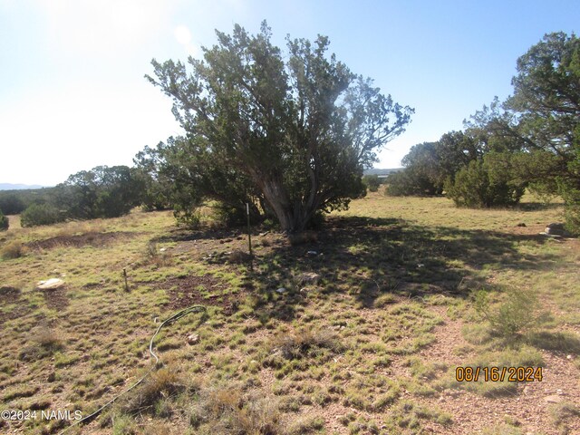 3307 W Clove Hitch Rd Unit 3, Williams, AZ 86046 - photo 17