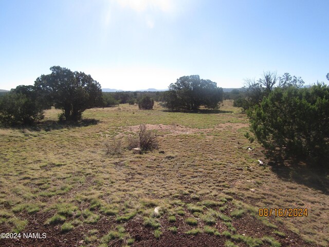 3307 W Clove Hitch Rd Unit 3, Williams, AZ 86046 - photo 8