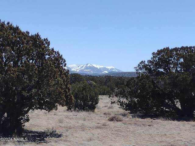 3307 W Clove Hitch Rd Unit 3, Williams, AZ 86046 - photo 1