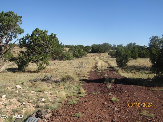 3307 W Clove Hitch Rd Unit 3, Williams, AZ 86046 - photo 5