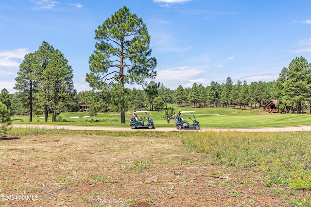3875 S Flagstaff Ranch Rd, Flagstaff, AZ 86005 - photo 10