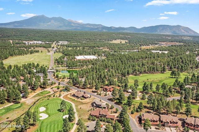 3875 S Flagstaff Ranch Rd, Flagstaff, AZ 86005 - photo 61