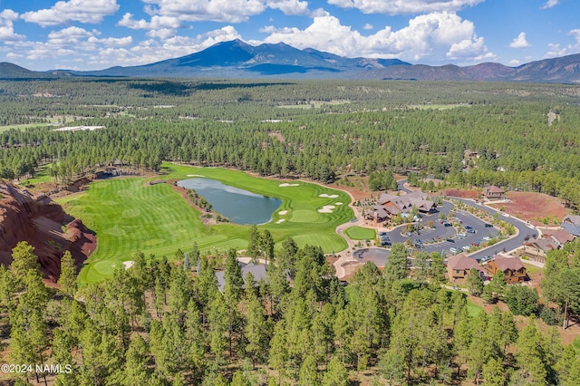 3875 S Flagstaff Ranch Rd, Flagstaff, AZ 86005 - photo 88