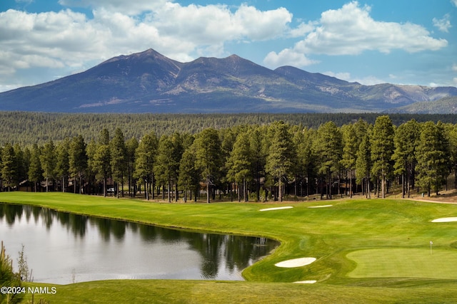 3875 S Flagstaff Ranch Rd, Flagstaff, AZ 86005 - photo 73