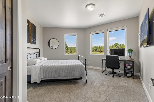 3875 S Flagstaff Ranch Rd, Flagstaff, AZ 86005 - photo 43