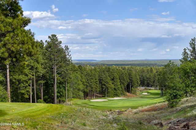 3875 S Flagstaff Ranch Rd, Flagstaff, AZ 86005 - photo 76