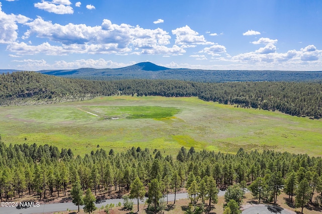 3875 S Flagstaff Ranch Rd, Flagstaff, AZ 86005 - photo 86