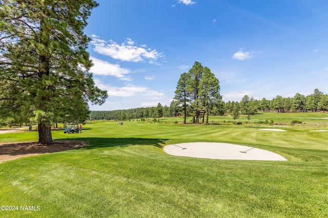 3875 S Flagstaff Ranch Rd, Flagstaff, AZ 86005 - photo 72
