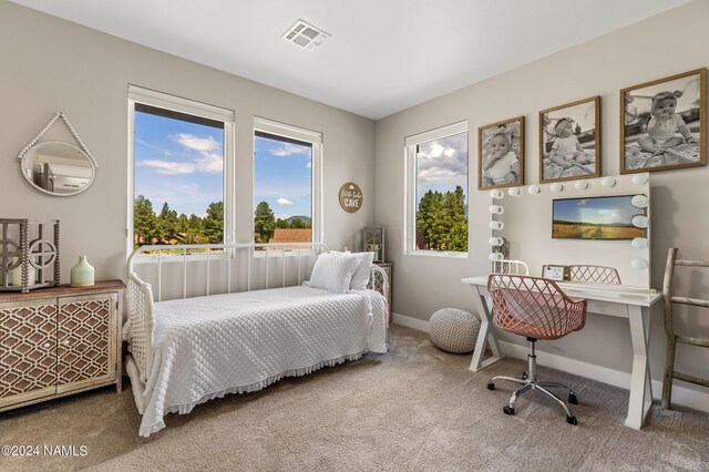 3875 S Flagstaff Ranch Rd, Flagstaff, AZ 86005 - photo 45