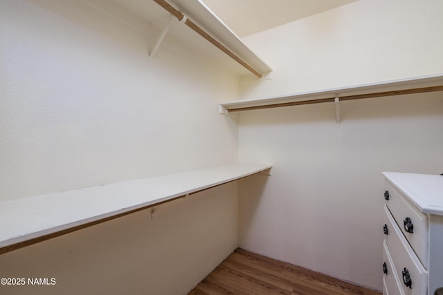 spacious closet with light wood-type flooring