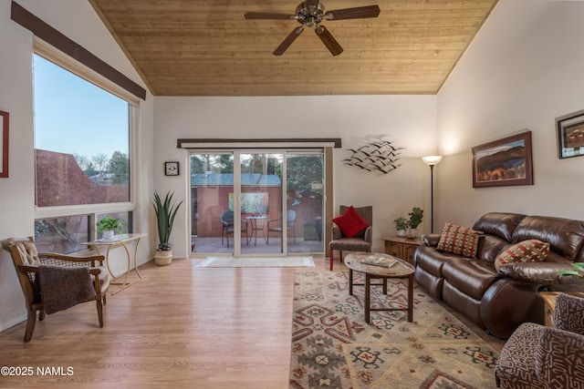 living room with lofted ceiling, wood ceiling, a healthy amount of sunlight, and wood finished floors