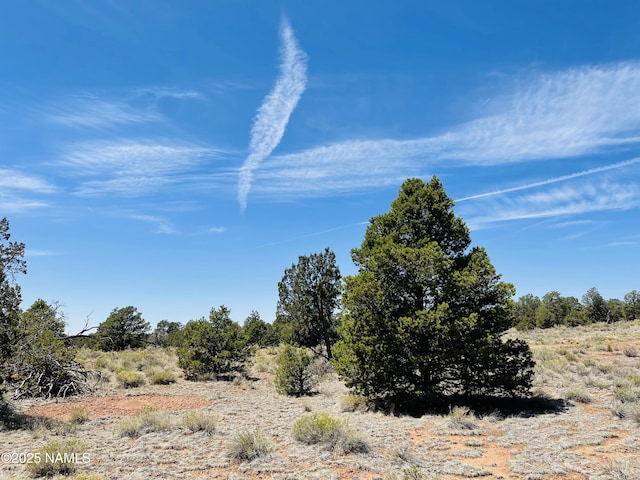 5390 N Windy Walk Way, Williams, AZ 86046