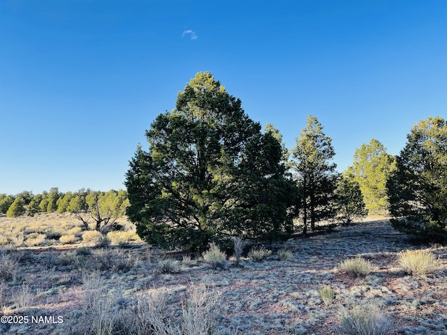 5390 N Windy Walk Way, Williams, AZ 86046