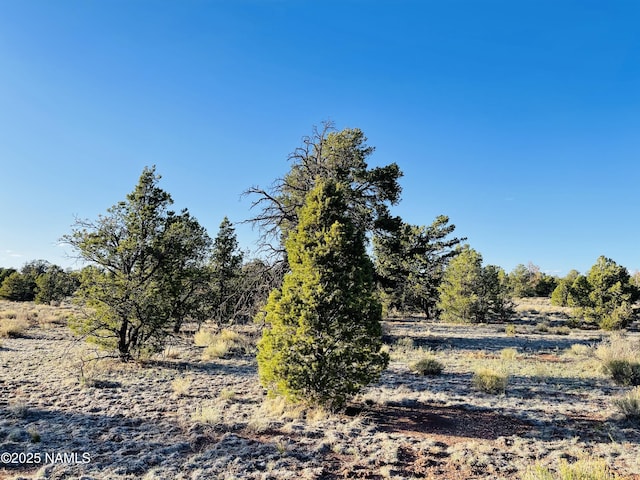 5390 N Windy Walk Way, Williams, AZ 86046