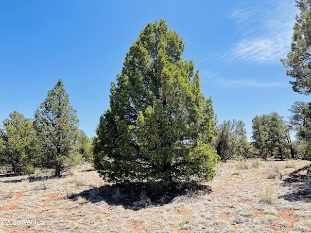 5390 N Windy Walk Way, Williams, AZ 86046