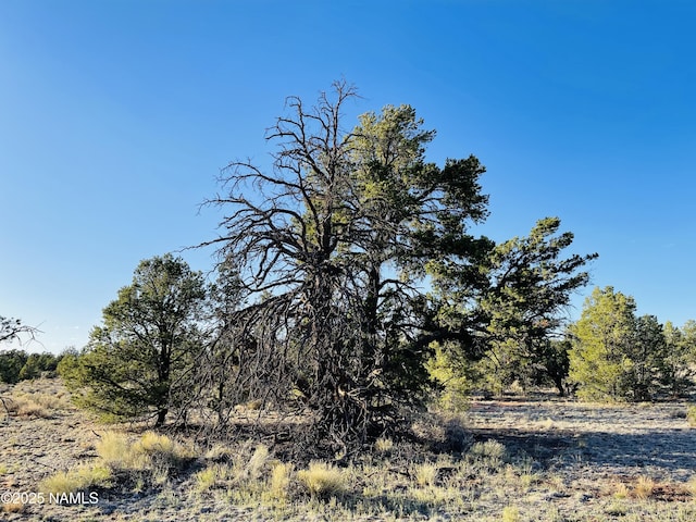 5390 N Windy Walk Way, Williams, AZ 86046