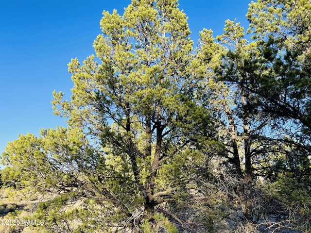 5390 N Windy Walk Way, Williams, AZ 86046