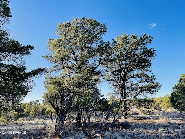 5390 N Windy Walk Way, Williams, AZ 86046