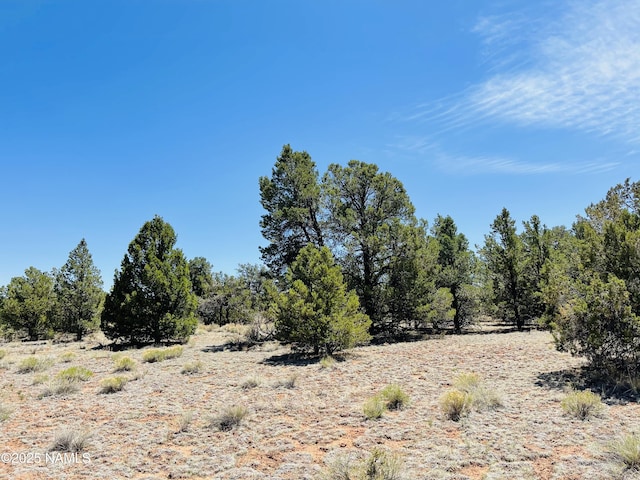5390 N Windy Walk Way, Williams, AZ 86046