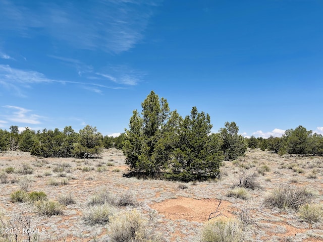 5390 N Windy Walk Way, Williams, AZ 86046