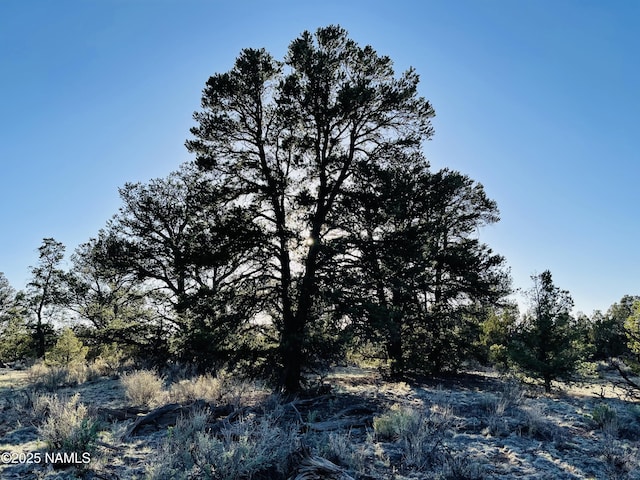 5390 N Windy Walk Way, Williams, AZ 86046
