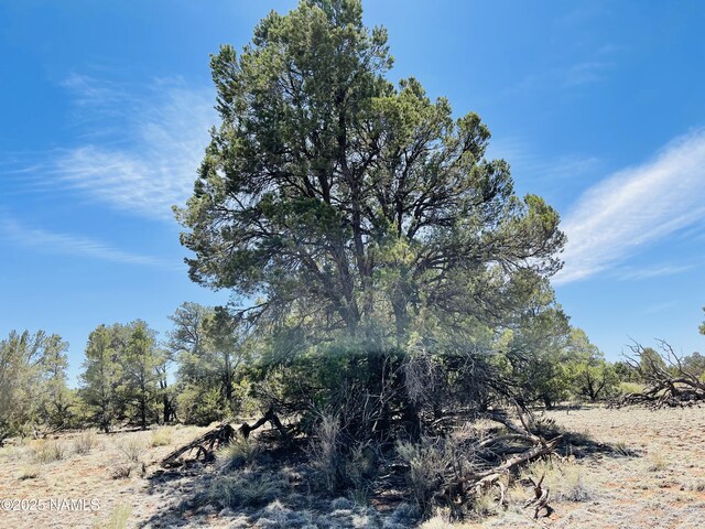 5390 N Windy Walk Way, Williams, AZ 86046