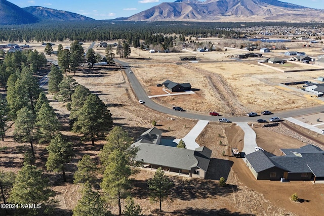 drone / aerial view featuring a mountain view