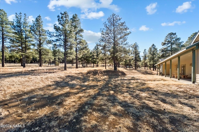 view of yard featuring a patio area and a rural view