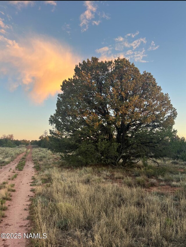 4500 N Bull Run Rd, Williams, AZ 86046