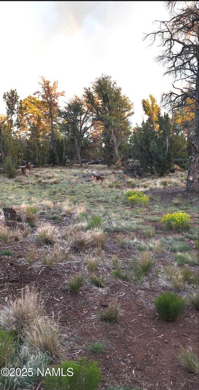 4500 N Bull Run Rd, Williams, AZ 86046