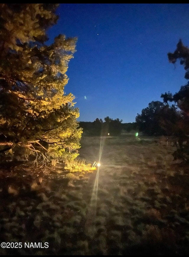 4500 N Bull Run Rd, Williams, AZ 86046
