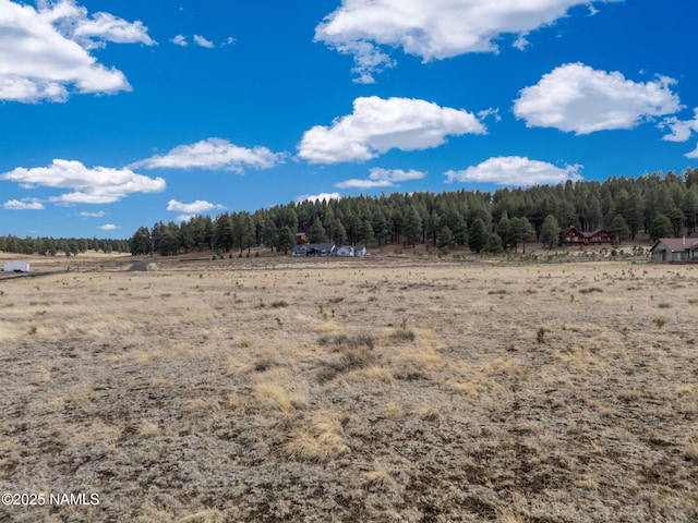 9228 W Hashknife Trl, Flagstaff, AZ 86001 - photo 23