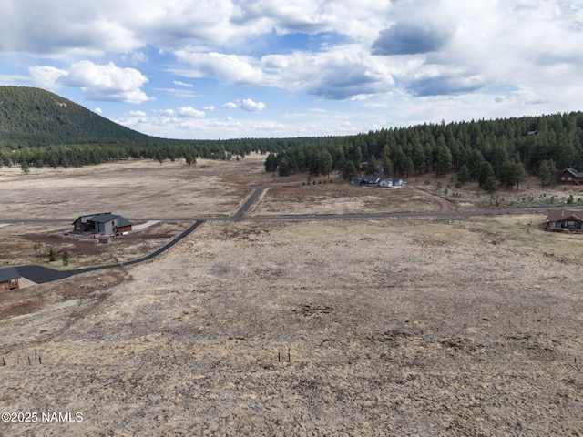 9228 W Hashknife Trl, Flagstaff, AZ 86001 - photo 12