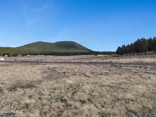 9228 W Hashknife Trl, Flagstaff, AZ 86001 - photo 11